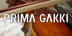 prima_strings2 prima_strings2